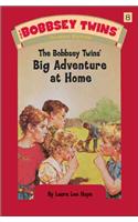 The Bobbsey Twins' Big Adventure at Home