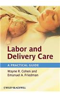 Labor and Delivery Care