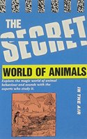 Secret World of Animals - In the Air