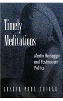 Timely Meditations: Martin Heidegger and Postmodern Politics(Princeton Legacy Library)