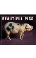 Beautiful Pigs