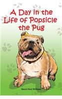 Day in the Life of Popsicle the Pug