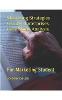 Marketing Strategies Of large Enterprises Case Study Analysis: For Marketing Student