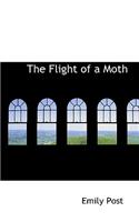 The Flight of a Moth