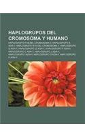Haplogrupos del Cromosoma y Humano: Haplogrupo R1b del Cromosoma Y, Haplogrupo E Adn-Y, Haplogrupo R1a del Cromosoma Y, Haplogrupo Q Adn-Y(Spanish)