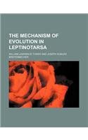 The Mechanism of Evolution in Leptinotarsa
