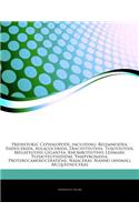 Articles on Prehistoric Cephalopods, Including: Belemnoidea, Endocerida, Aulacocerida, Trachyteuthis, Tusoteuthis, Megateuthis Gigantea, Rhomboteuthis Lehmani, Plesioteuthididae, Vampyronassa, Pro