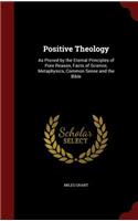 Positive Theology: As Proved by the Eternal Principles of Pure Reason, Facts of Science, Metaphysics, Common Sense and the Bible