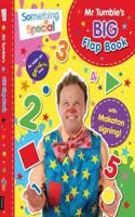 Something Special: Mr Tumble's Big Flap Book