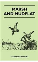 Marsh and Mudflat