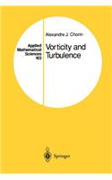 Vorticity and Turbulence