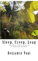 Sleep, Creep, Leap