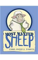 Most Wanted Sheep