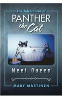The Adventures of Panther the Cat