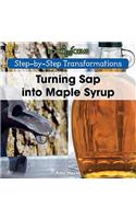 Turning SAP Into Maple Syrup