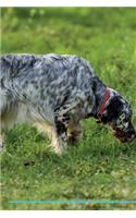 English Setter Affirmations Workbook English Setter Presents: Positive and Loving Affirmations Workbook. Includes: Mentoring Questions, Guidance, Supporting You.