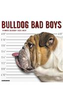 Bulldog Bad Boys 2020 Wall Calendar (Dog Breed Calendar)