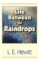 Life Between the Raindrops