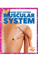 Muscular System