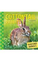 Cottontail Rabbits