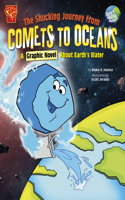 Shocking Journey from Comets to Oceans