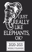 2020-2021 Weekly Planner I Just Really Like Elephants