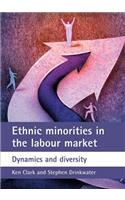 Ethnic minorities in the labour market