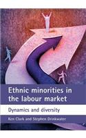 Ethnic Minorities in the Labour Market