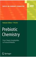 Prebiotic Chemistry