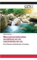 Macroinvertebrados acuáticos en un nacimiento de río: (Spanish)