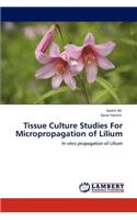 Tissue Culture Studies For Micropropagation of Lilium
