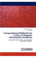 Computational Methods for a Class of Singular Perturbation Problems