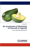 An Assessment of Marketing Constraints of Avocado in Uganda