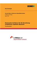 Numerische Verfahren für die Berechnung modellfreier impliziter Momente