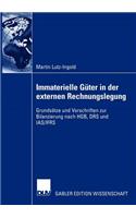 Immaterielle Güter in Der Externen Rechnungslegung