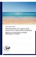 Méiobenthos Du Lagon Sud-Ouest de la Nouvelle-Calédonie