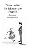 Im Schatten der Freiheit: Temeswar(German)