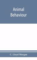 Animal behaviour
