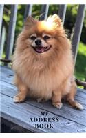 My Address Book: Pomeranian - Address Book for Names, Addresses, Phone Numbers, E-mails and Birthdays
