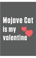 Mojave Cat is my valentine