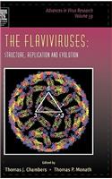 Flaviviruses: Structure, Replication and Evolution