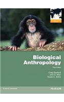 Biological Anthropology