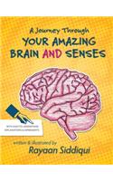 Journey Through Your Amazing Brain and Senses