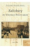 Salisbury in Vintage Postcards
