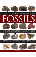 Illustrated Handbook of Fossils: A Practical Directory and Identification Aid to More Than 300 Plant and Animal Fossils