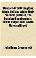 Standard-Bred Orpingtons, Black, Buff and White, Their Practical Qualities; The Standard Requirements; How to Judge Them; How to Mate and Breed: (English)
