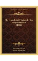 The Hydrolysis of Salicin by the Enzyme Emulsin (1909)