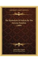 The Hydrolysis of Salicin by the Enzyme Emulsin (1909)