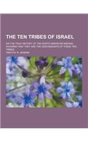 The Ten Tribes of Israel; Or the True History of the North American Indians, Showing That They Are the Descendants of These Ten Tribes