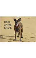 Dogs on the Beach 2017